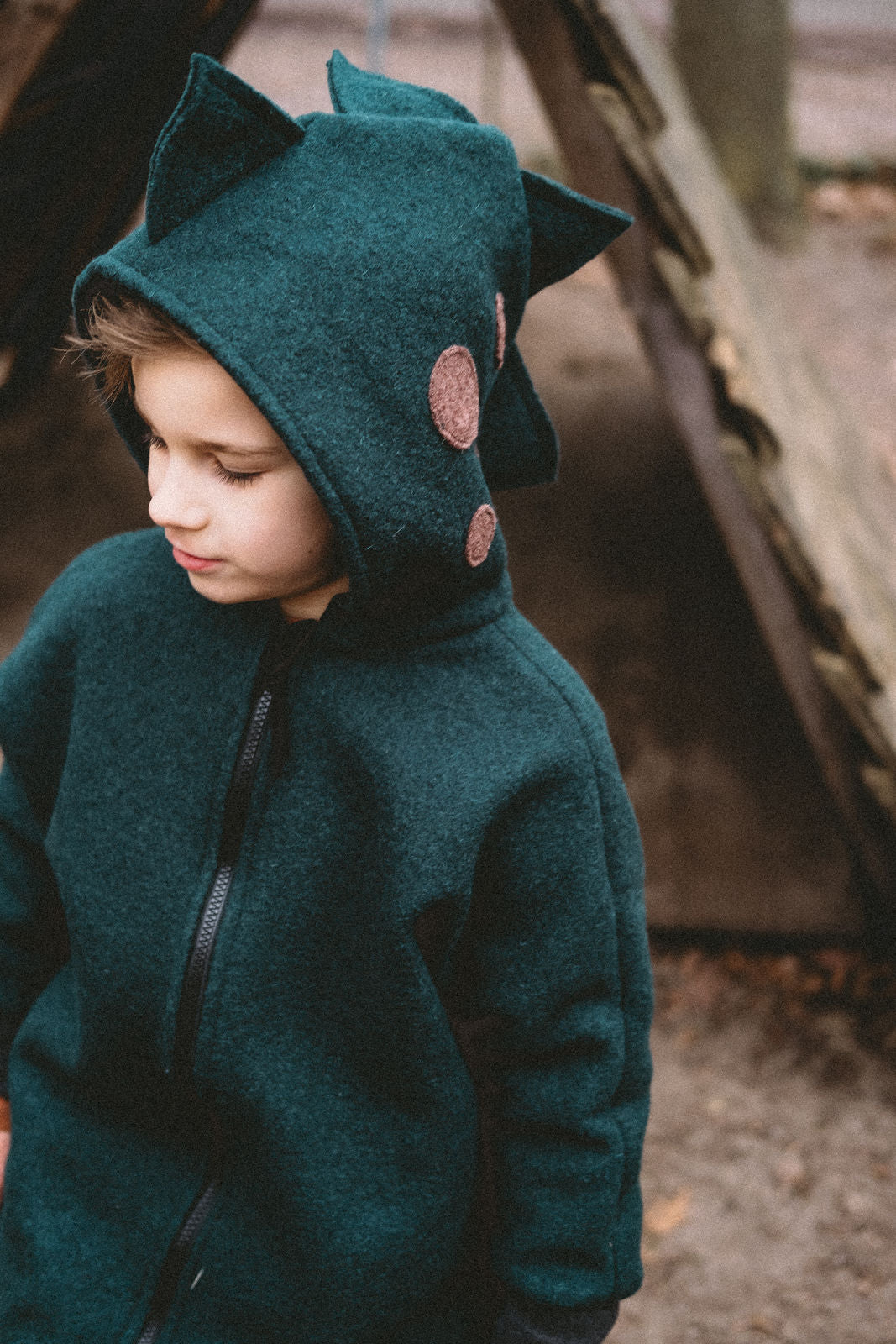 Wollwalkjacke drolliger Dino