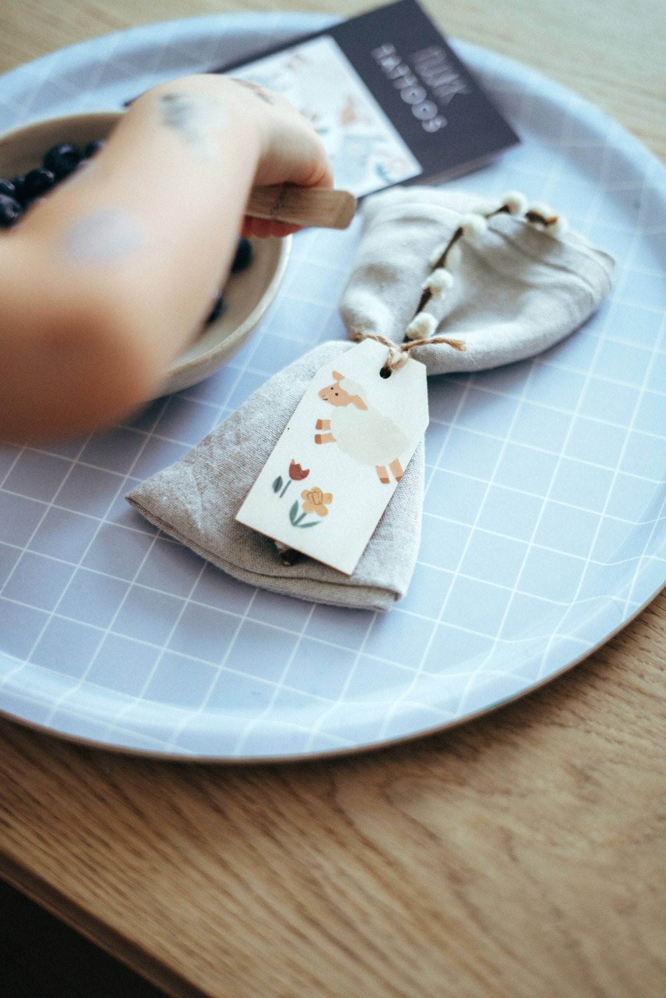 Bio Tattoos Frühlingstiere - Räuberkinder