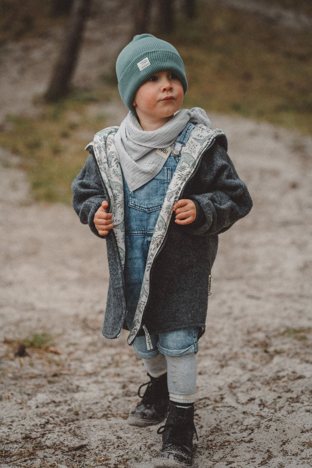 Wollwalkjacke Grau / Dinoparty - Räuberkinder