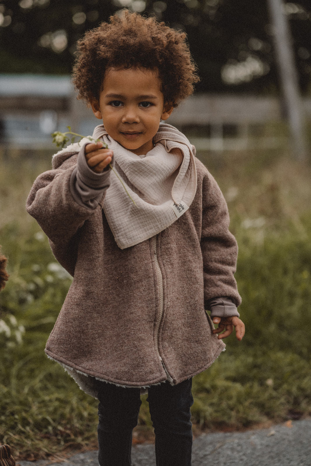 Wollwalkjacke Taupe /Teddyfell