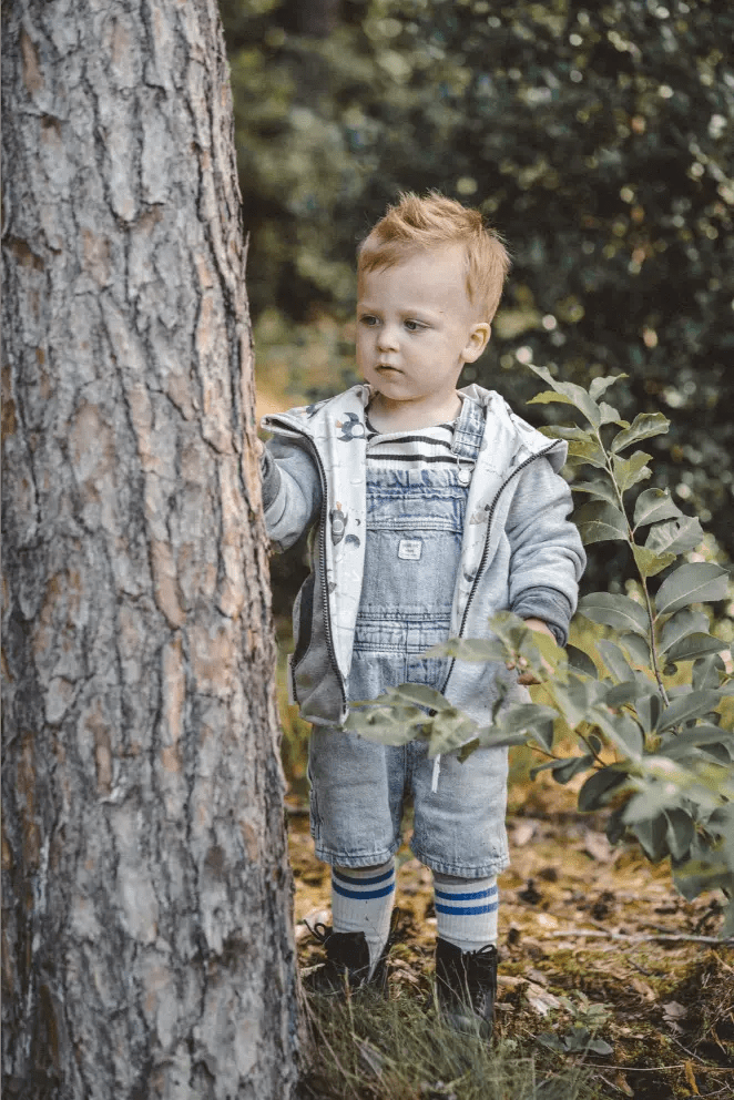 Sweatjacke Kletterkind Grau Rakete - Räuberkinder 2
