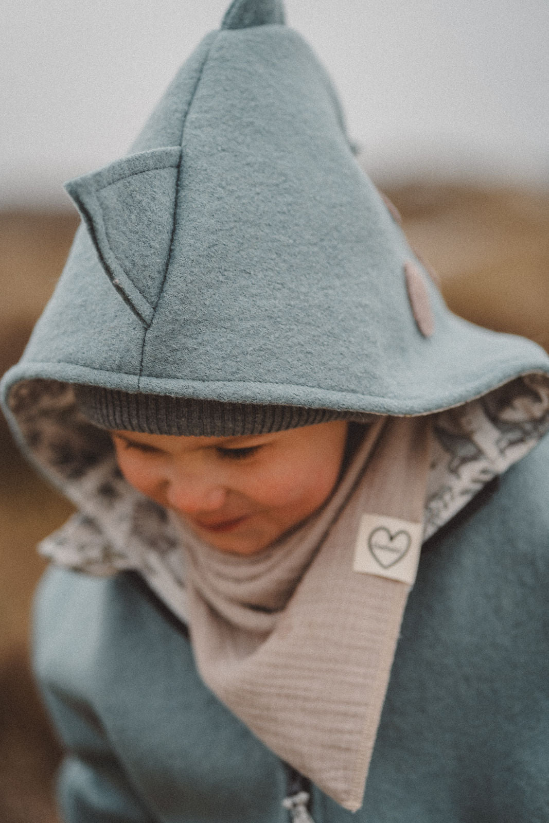 Wollwalkjacke Dino Mint - Räuberkinder
