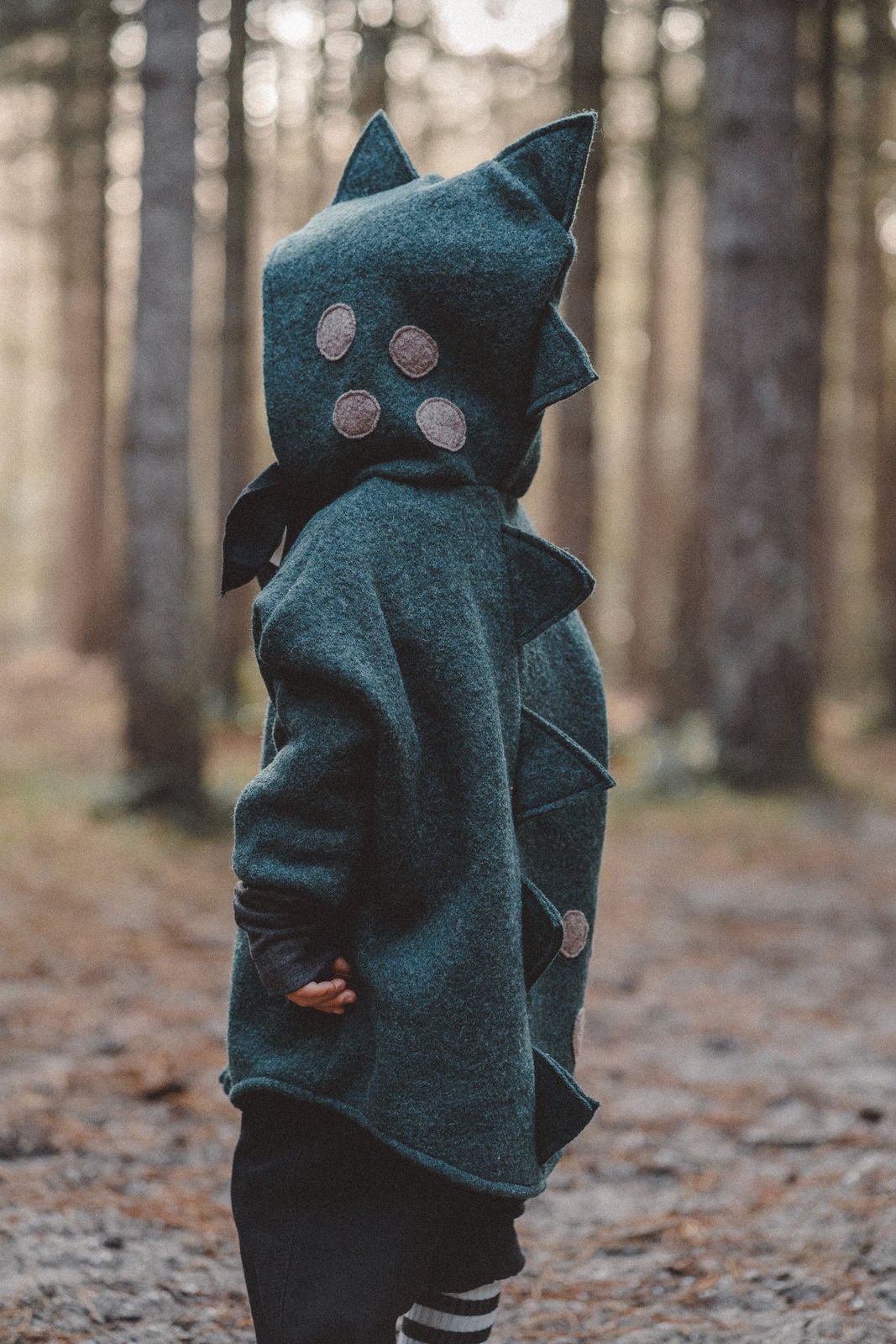 Wollwalkjacke drolliger Dino - Räuberkinder