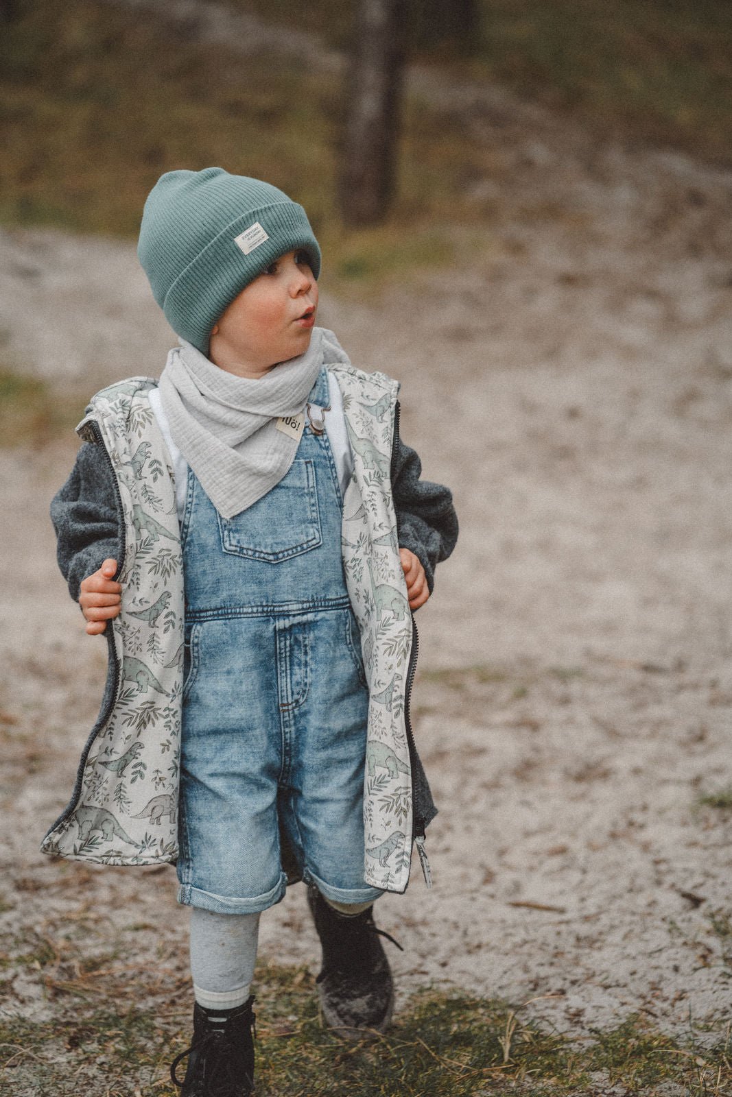 Wollwalkjacke Grau / Dinoparty - Räuberkinder